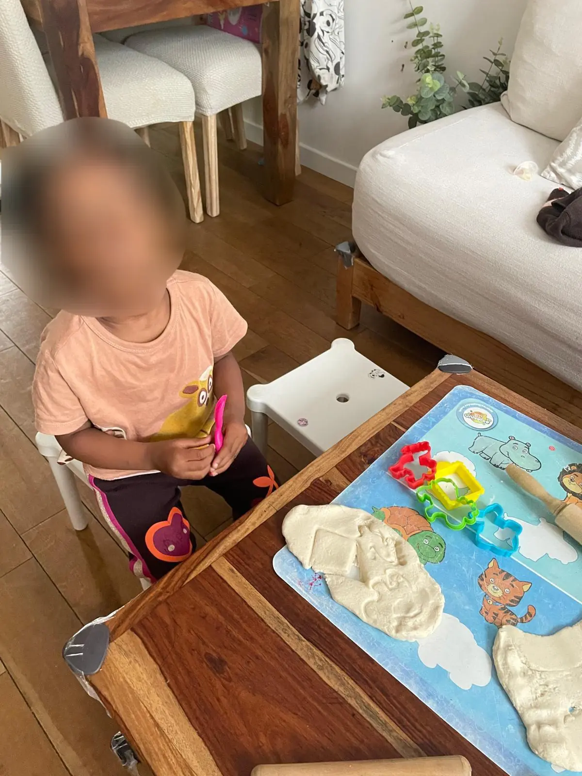 Activité pâte à modeler